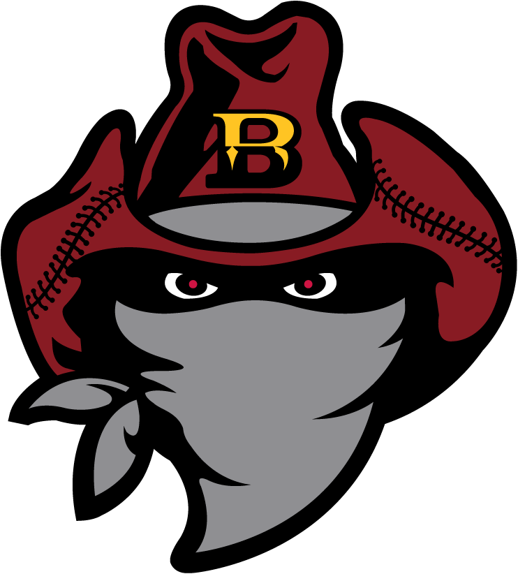Brisbane Bandits 2010-Pres Secondary Logo iron on transfers for clothing
